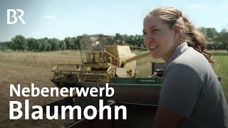 BlaumohnErnte Junge Landwirtin sammelt Erfahrung  Schwaben amp Altbayern  BR  Doku  Mohn [upl. by Ysle152]