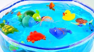 Sea Animal Robotic Fish Toys  Learn Sea Animal Names  Fun Video For Kids [upl. by Garris348]