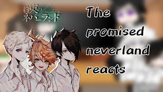 The promised Neverland  Tpn  Reacts to Tiktoks and vídeos [upl. by Jewell]