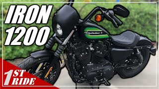 2021 Sportster Iron 1200 Review and Test Ride The Last Evo Iron 😣 [upl. by Einner]