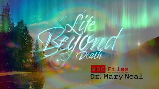 Life Beyond Death  NDE Files  Mary Neal [upl. by Ovatsug318]