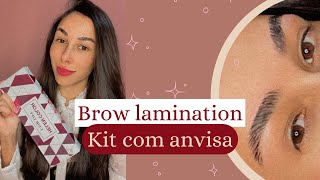 Brow lamination  Realinhamento de sobrancelhas com kit Helen Color  Resenha [upl. by Banquer802]