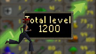 1200 Total Level On A Ironman Skiller  Maxing a LVL 3 Ironman Skiller 17  OSRS [upl. by Morrell]