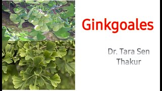 Silent Features of Ginkgoales [upl. by Elwood]