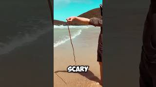 The Scary Discovery on the Beach ⛱️ tightlinezaus [upl. by Nnylyt]