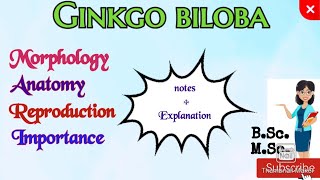 Ginkgo biloba Morphology Anatomy Reproduction Gymnosperm Ginkgo biloba notes mscbotany ginkgo [upl. by Jena480]