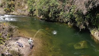 Fly Fishing THE BEST Trout River i have ever Seen [upl. by Vinnie]