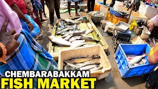 Chembarabakkam Lake Fish Market  Fresh amp Live Fish at Budget Price Chennai Fish Market  CSK Vlogs [upl. by Arraik]