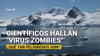 Científicos hallan quotvirus zombiesquot en permafrost de Siberia ¿Qué tan peligrosos son [upl. by Lizzie]