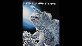 Mauro Picotto  Iguana [upl. by Graces]