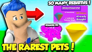 I Unlocked The RAREST SHINY TOKEN PET In Rebirth Simulator 20 And TONS OF REBIRTHS Roblox [upl. by Phenice]