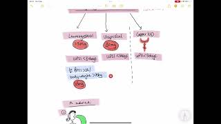 Emergency Contraception UK NICE Guidelines UK “morning after pill” [upl. by Htiderem199]