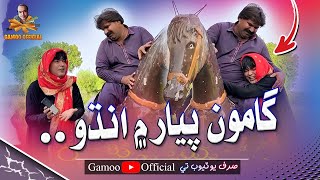 Gamoo Pyar Mai Andho  Asif Pahore Gamoo  Kheero Buriro  Gamoo New  Comedy Funny Video  2024 [upl. by Surtemed]