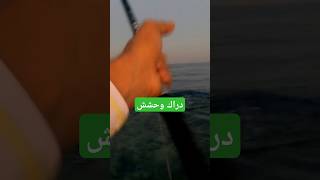 صيد الدراك kingfish fishing صيد fish صيدالسمك [upl. by Hein]