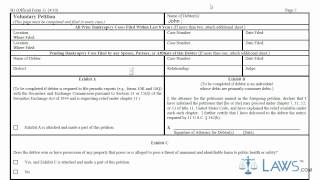 Learn How to Fill the Form B1 Voluntary Petition [upl. by Willmert125]