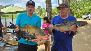 INCRÍVEL ESSA PESCARIA NA LAGOA DOS COLATINOS PEIXES GIGANTES VEJA [upl. by Margit]