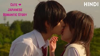 LDK 2014 Cute ❤️ Japanese Romantic Movie Explained In Hindi [upl. by Goltz]