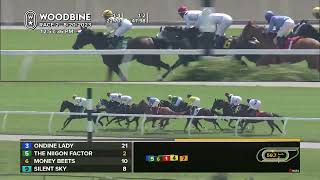 Woodbine Tbred August 20 2023 Race 2 [upl. by Gilman608]