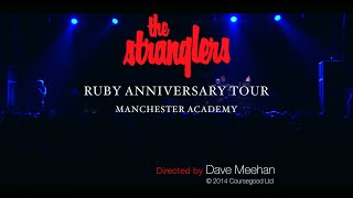 The Stranglers Golden Brown Live in Manchester [upl. by Kinnie]