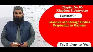 Biology Ch06Lecture06 Granules and storage bodies FSc 1st Year [upl. by Latsirc]