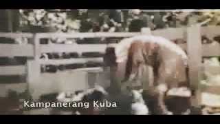 CLIPS  Kampanerang Kuba  Celia Rodriguez [upl. by Irok11]