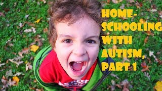 Homeschooling a Child with Autism Part 1 [upl. by Graham]