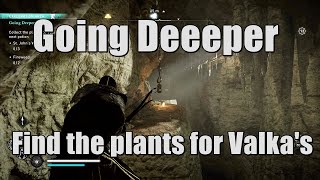 AC Valhalla Going Deeeper  Find the plants for Valkas Next Potion Fireweed and StJohns Wort [upl. by Walcott324]