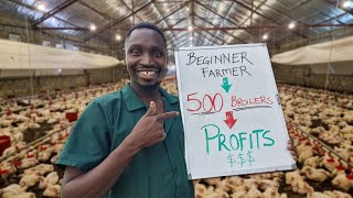 How Much Profit can a First time Farmer make from 500 Chickens [upl. by Odraner]