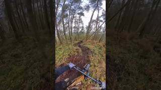 Freshly dug turns ❤️ eastridge woods  Shropshire MTB  orbea Rallon  insta 360 [upl. by Eiznek52]