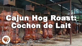 Cajun Hog Roast Cochon de Lait Festival [upl. by Kinsler849]