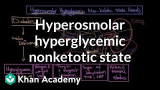 Acute complications of diabetes  Hyperosmolar hyperglycemic nonketotic state  Khan Academy [upl. by Tarazi153]