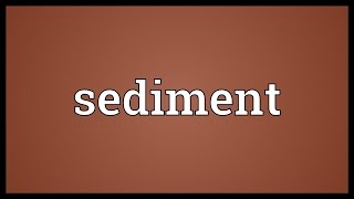 Sediment Meaning [upl. by Hannasus]