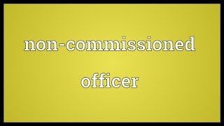 Noncommissioned officer Meaning [upl. by Allimaj]