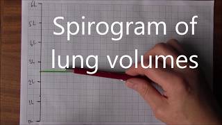 Respiratory System 7 Lung volumes and spirogram [upl. by Penni]