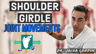 Shoulder Girdle Anatomy Joint Movements [upl. by Townsend]