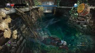 Witcher 3 Find the Gate Key in Herbarium Underwater Cave [upl. by Irrot611]