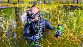 Searching For Treasure on Famous SECRET BEACH Expensive Finds BELIZE [upl. by Aneehsor]