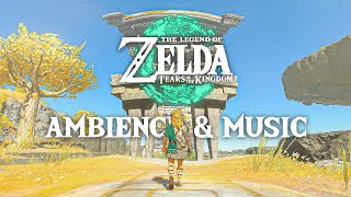 ☁️ Great Sky Island ☁️ Zelda Tears of the Kingdom Ambience amp Music [upl. by Erdman826]