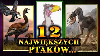 12 Najcięższych i Największych PTAKÓW w Historii Świata [upl. by Jorgenson]