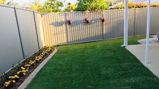 Sapphire Buffalo Grass by Australian Lawn Concepts QLD [upl. by Thrift39]