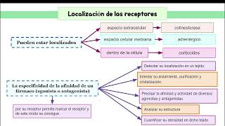 SEMINARIOSEMANA 5CICLO DE VIDA DE RECEPTORES FARMACOLOGICOS [upl. by Edelson]