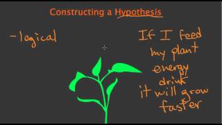 Constructing a Hypothesis [upl. by Daveda314]