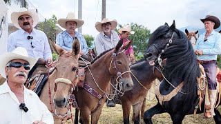 Cabalgata CON MULAS en OCONAHUA JALISCO [upl. by Ahserkal]