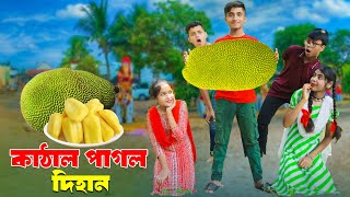 কাঁঠাল পাগল দিহান । জুনিয়র মুভি । kathal pagol dihan comedy Natok  new video 2024  jihad enter10 [upl. by Mccahill]