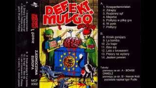 Siwy Defekt Muzgó amp Para Wino  Zjednoczona Europa FULL ALBUM 1993 [upl. by Lukey614]