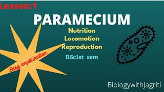 Paramecium locomotion reproductionamp nutrition Bsc 1semBiologywithJagriti with easy explaination [upl. by Runkle]