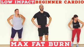 Fat burning Beginner LOW IMPACT home cardio workout  all standing [upl. by Tiphany]