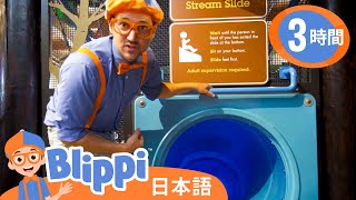 ハンドオン・ミュージアムのワクワク冒険～パート2  ブリッピ 日本語  幼児向け教育動画 Blippi [upl. by Dibbell756]