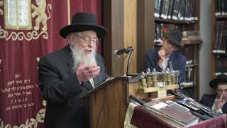 R Avrohom Gurwicz Shiur on Haggada Shel Pesach PART 3 [upl. by Hildebrandt679]