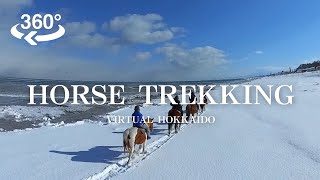 【VR】Abashiri Horse Trekking [upl. by Airtina]